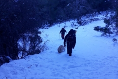 IMG-20210117-WA0038
