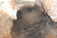 DSCF0834