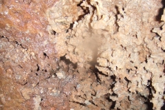 DSCF0836