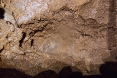 DSCF0851