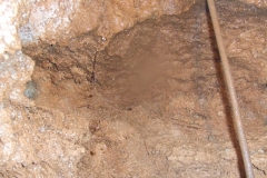 DSCF0853