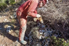 IMG-20201214-WA0008