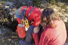 IMG-20211107-WA0008