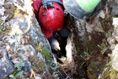 IMG-20211107-WA0015