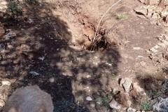 IMG-20210227-WA0042