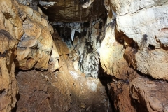 IMG-20210227-WA0060