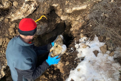 WhatsApp-Image-2026-01-01-at-13.32.30