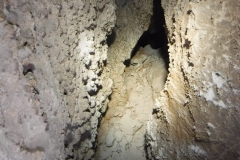 IMG-20190103-WA0034