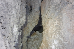 IMG-20190103-WA0035