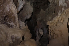 P9289920