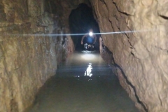 IMG-20220206-WA0019