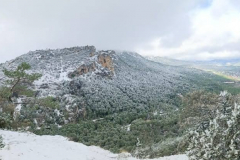 IMG-20240303-WA0011