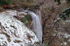 IMG_20240303_120318
