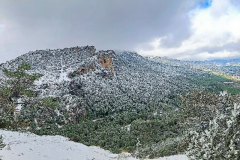 PANO_20240303_110433R