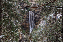 PXL_20240303_104833409R