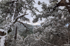 PXL_20240303_104947728