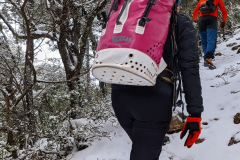 PXL_20240303_105247698