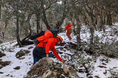 PXL_20240303_105301291