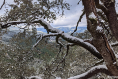 PXL_20240303_110035573