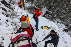 PXL_20240303_110057710