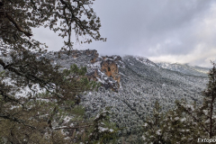 PXL_20240303_110414126