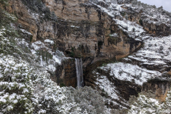 PXL_20240303_113506265