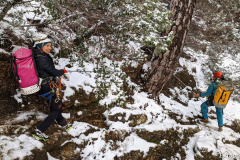 PXL_20240303_115113034