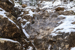 PXL_20240303_115119647