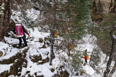 PXL_20240303_115130121