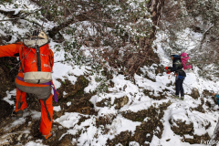 PXL_20240303_115134359