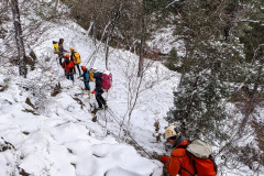 PXL_20240303_115421404