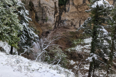 PXL_20240303_115911528