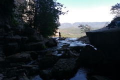 IMG-20210830-WA0005