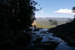IMG-20210830-WA0007