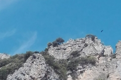 IMG-20190520-WA0008