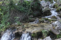 IMG-20190520-WA0010