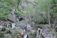 IMG-20190520-WA0013