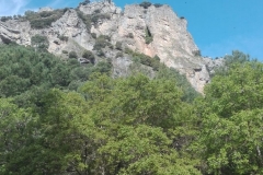 IMG-20190520-WA0014