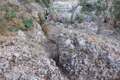 DSCF1361