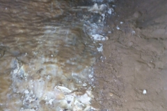IMG-20200308-WA0063