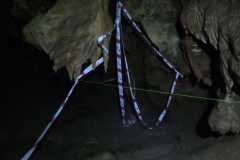 IMG-20200308-WA0072