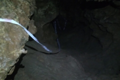 IMG-20200308-WA0073