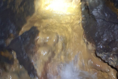 20231008_170606