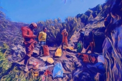 Farallon-10