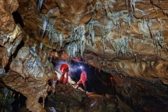 Farallon-7