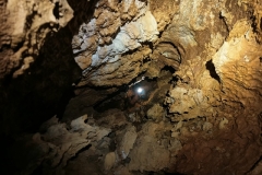 IMG-20221025-WA0009