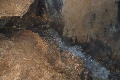 DSCF7947