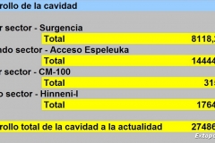 Desarrollo total
