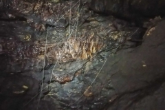espeleuka_18072020_4
