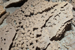 Espeleuka-3